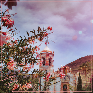 把一个女仆训练成狗要多久
