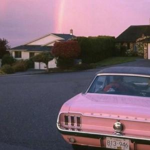 把一个女仆训练成狗要多久
